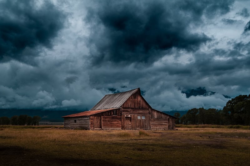 Rustic Cabins